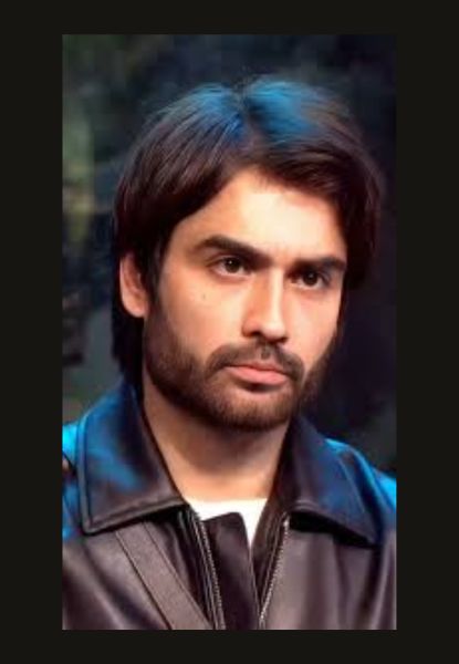 Vivian Dsena Reveals Bigg Boss Truth on Bharti-Harsh Podcast!